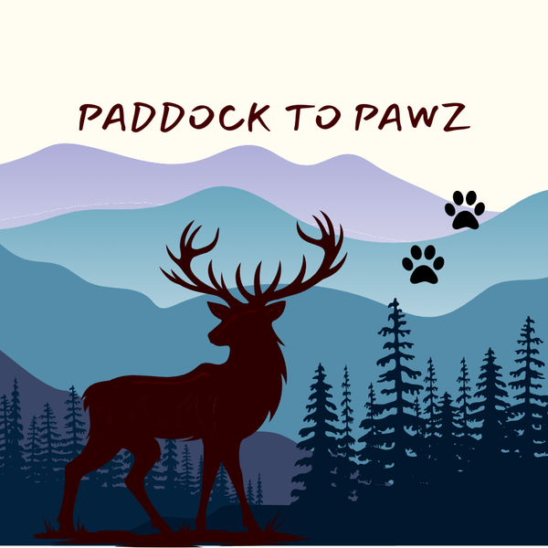 Paddock to Pawz